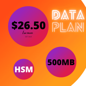 Data Plan (500MB) - HSM Group